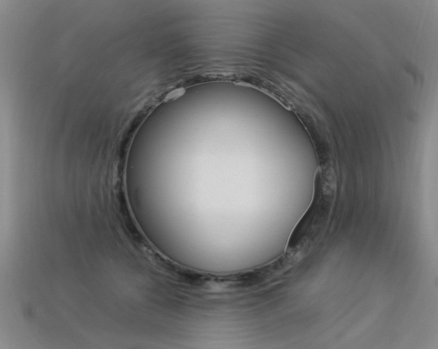 X0000113350560200909151028