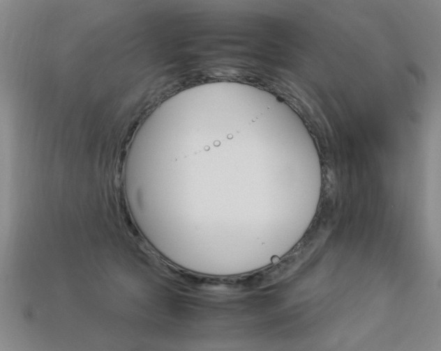 X0000113350561200909151028