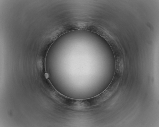 X0000113350562200909151028