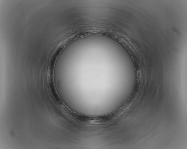 X0000113350564200909151028