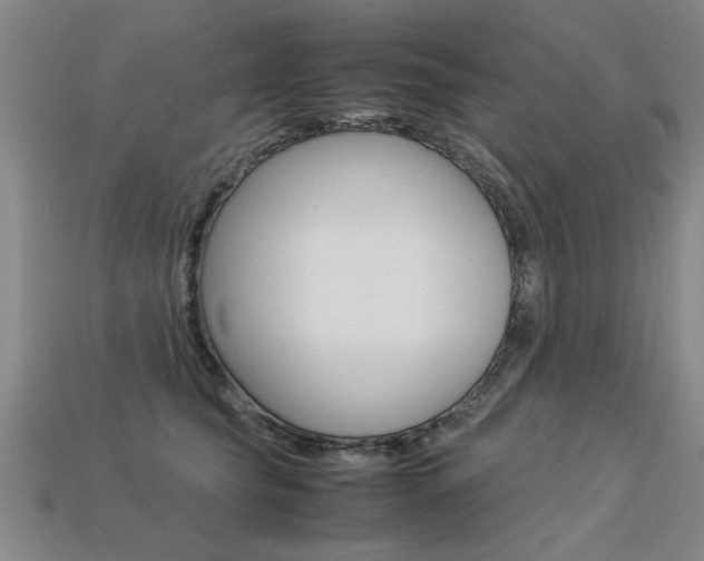 X0000113350565200909151028