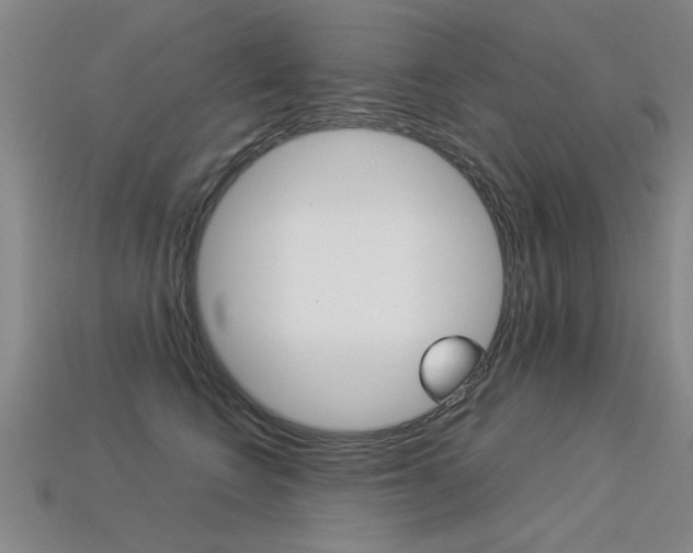 X0000113350566200909151028