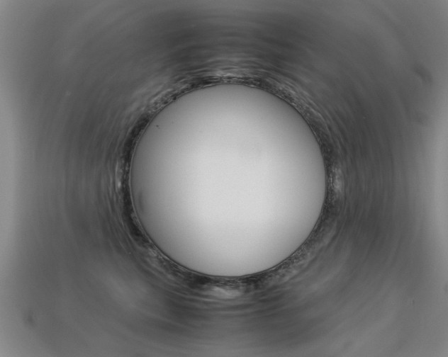 X0000113350567200909151028