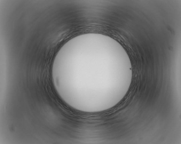 X0000113350568200909151028