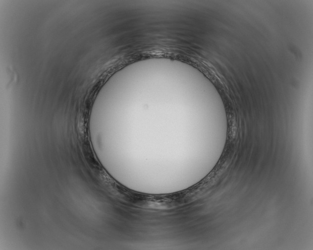 X0000113350569200909151028