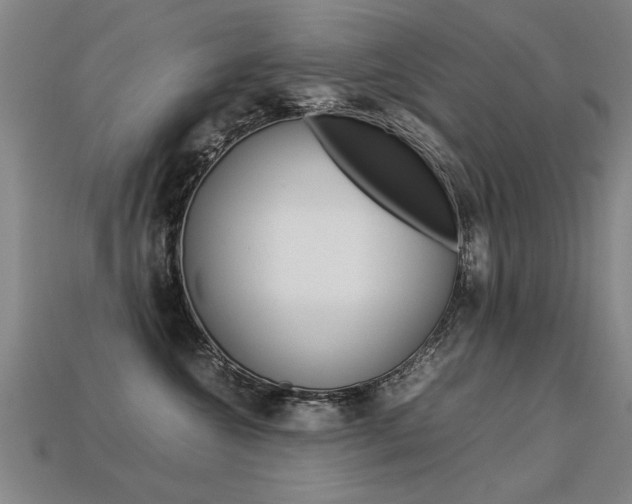 X0000113350572200909151028