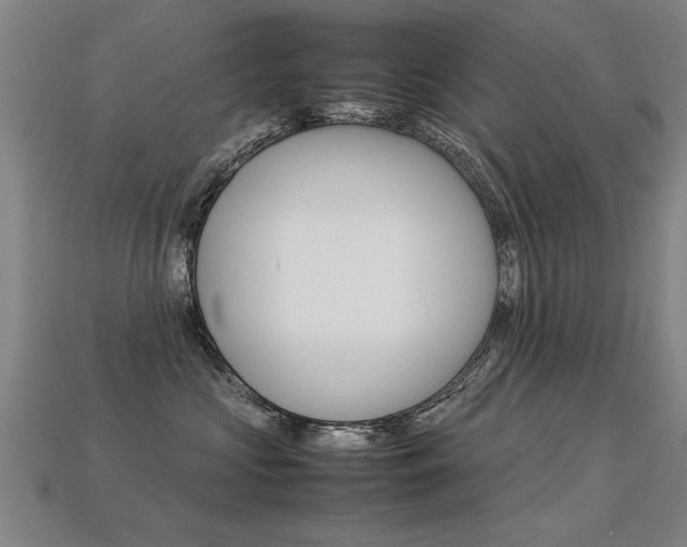 X0000113350573200909151028