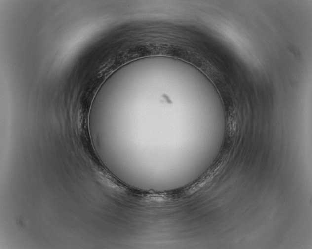 X0000113350574200909151028