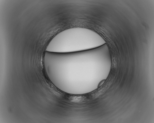 X0000113350575200909151028