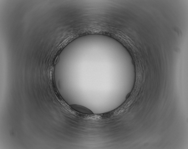 X0000113350576200909151028