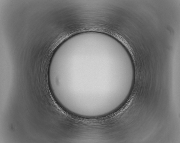 X0000113350577200909151028