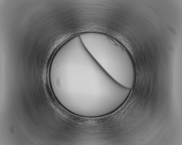 X0000113350578200909151028