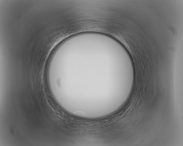 X0000113350579200909151028