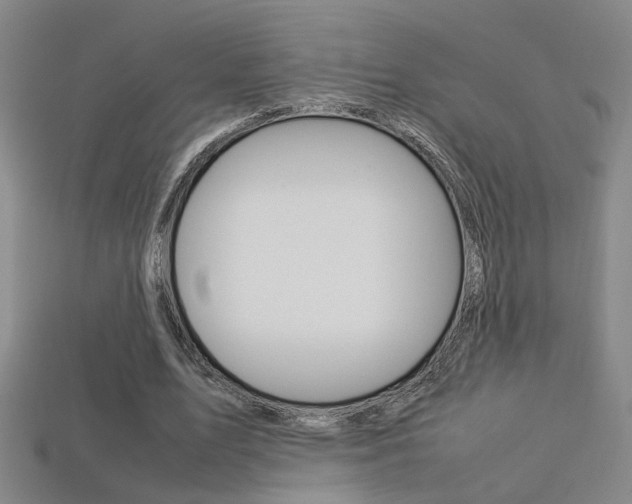 X0000113350583200909151028