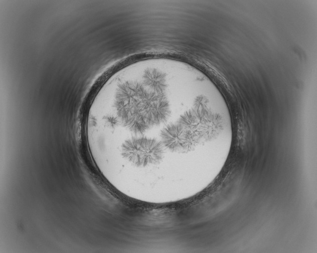X0000113350584200909151028