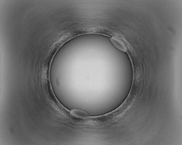 X0000113350585200909151028