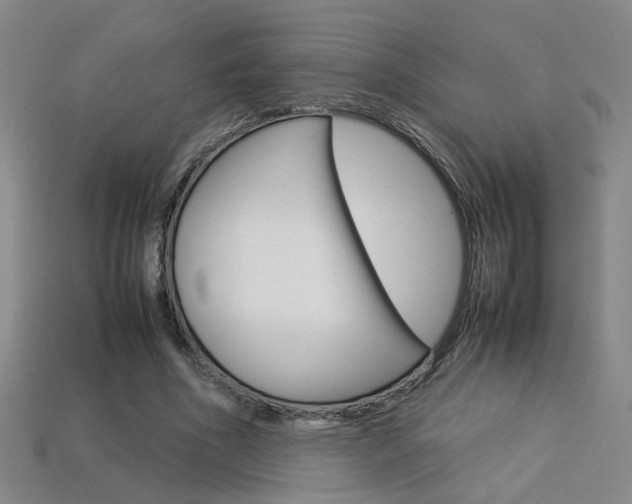 X0000113350586200909151028