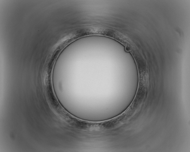 X0000113350587200909151028