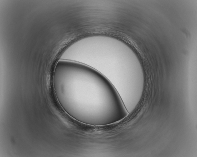 X0000113350589200909151028