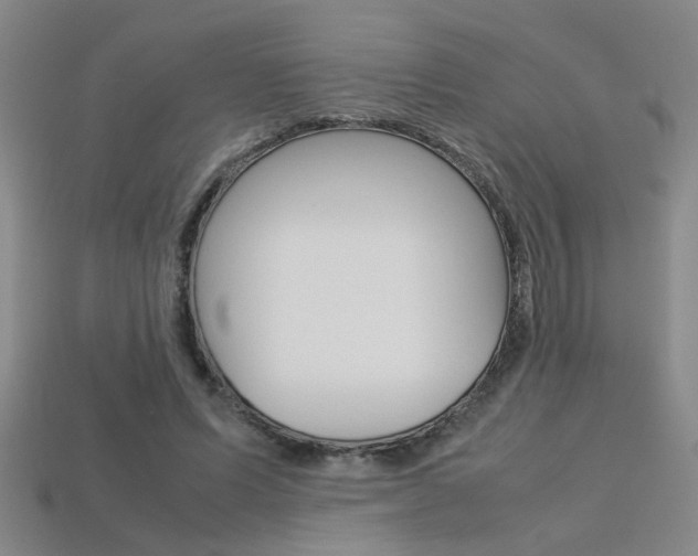 X0000113350591200909151028