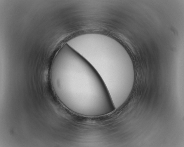 X0000113350596200909151028