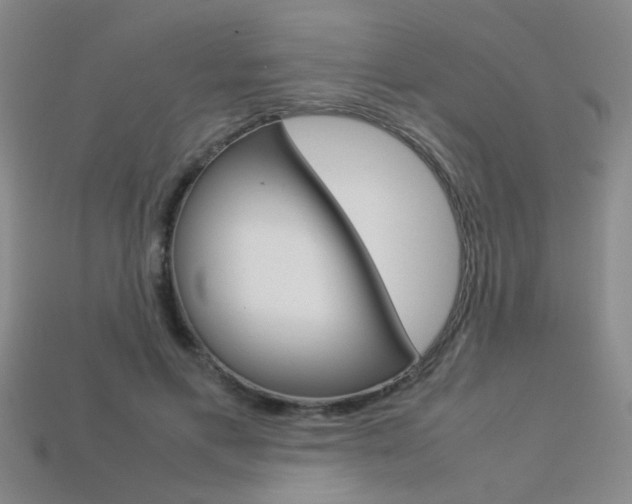 X0000113350597200909151028
