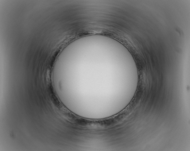 X0000113350598200909151028