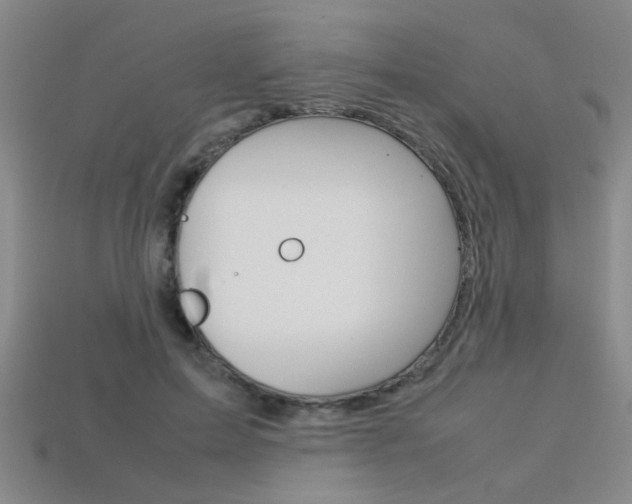 X0000113350599200909151027