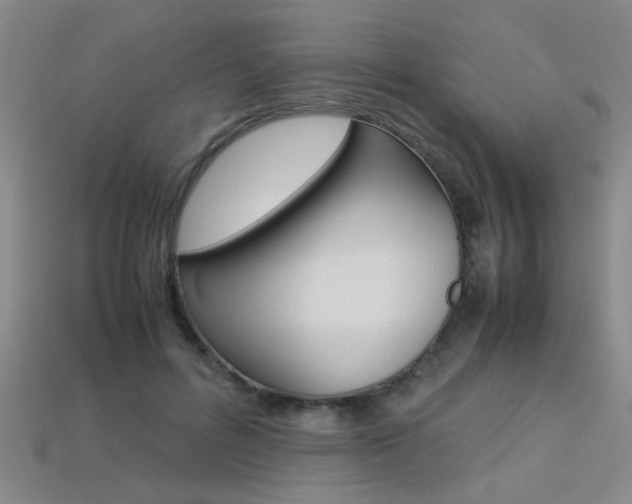 X0000113350600200909151027