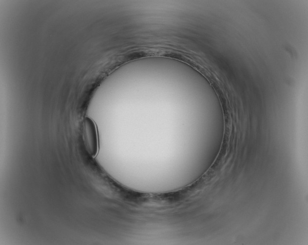 X0000113350601200909151027