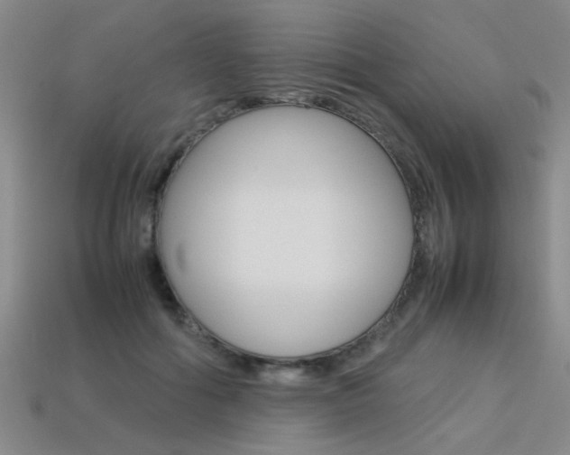 X0000113350602200909151027