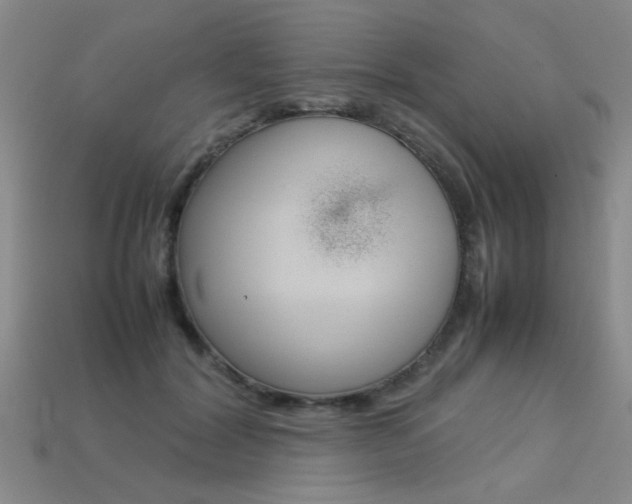X0000113350604200909151027