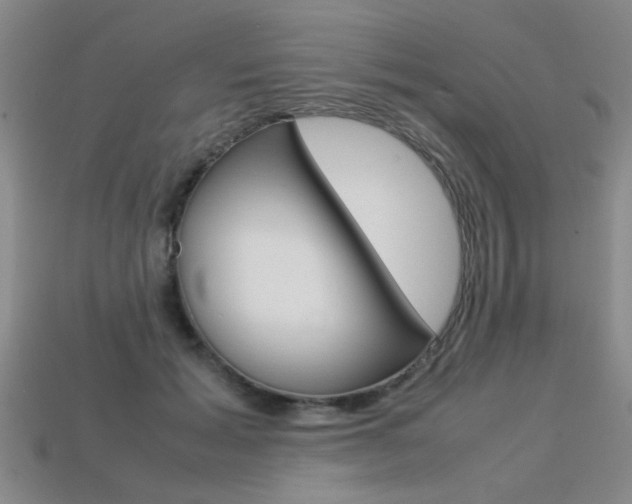 X0000113350605200909151027
