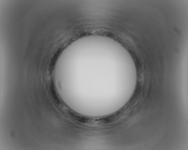 X0000113350607200909151027