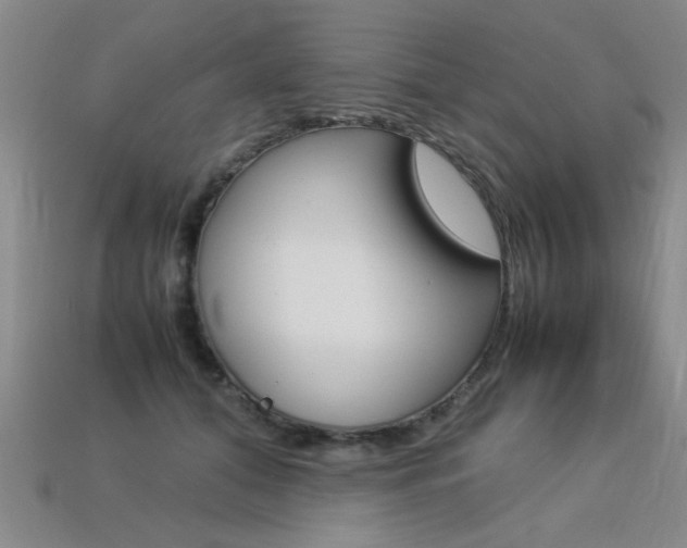 X0000113350608200909151027