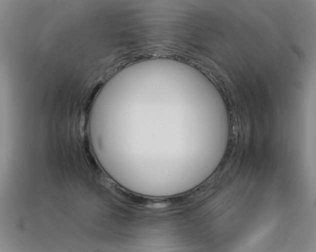 X0000113350610200909151027