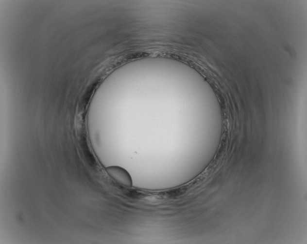 X0000113350611200909151027