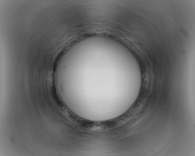 X0000113350612200909151027