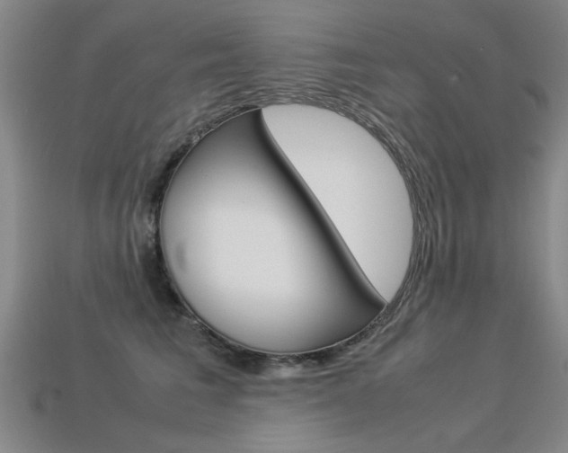 X0000113350613200909151027
