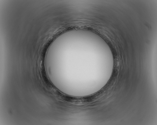 X0000113350615200909151027