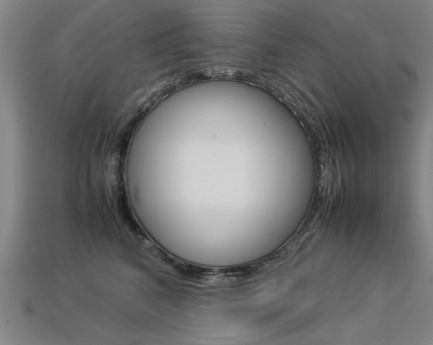 X0000113350616200909151027