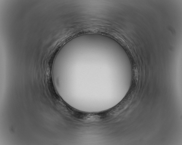 X0000113350617200909151027