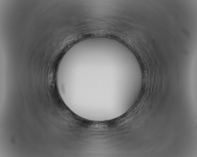 X0000113350619200909151027