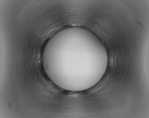 X0000113350620200909151027