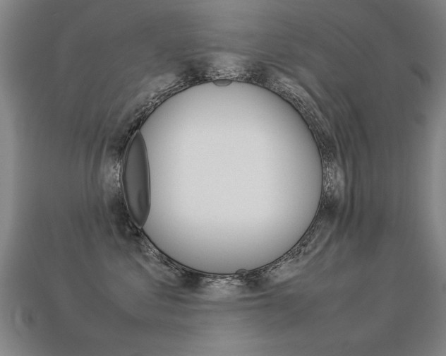 X0000113350621200909151027