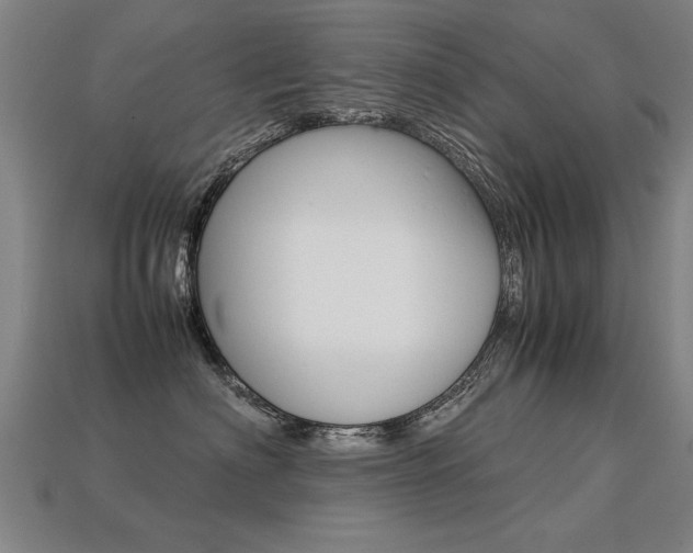 X0000113350622200909151027