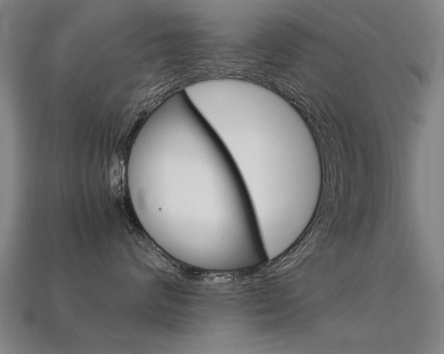 X0000113350624200909151027