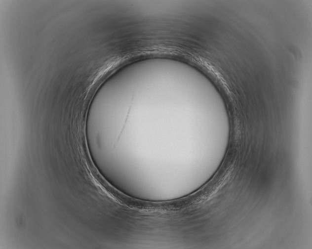 X0000113350625200909151027