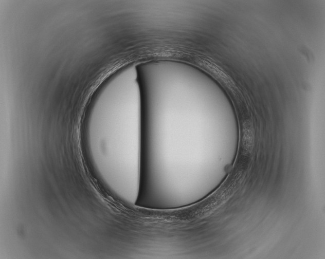 X0000113350626200909151027