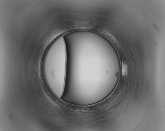 X0000113350627200909151027
